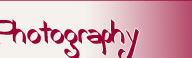 Karen Gast Photography